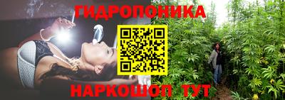 spice Пенза