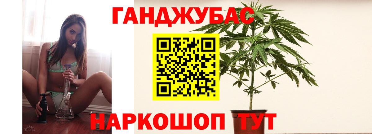 Бошки Шишки планчик Алатырь